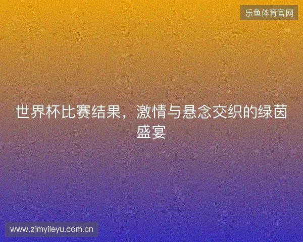 世界杯比赛结果，激情与悬念交织的绿茵盛宴